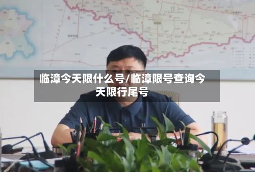 临漳今天限什么号/临漳限号查询今天限行尾号-第3张图片