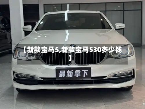 【新款宝马5,新款宝马530多少钱】-第3张图片