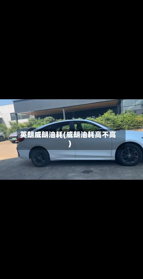 英朗威朗油耗(威朗油耗高不高)-第2张图片