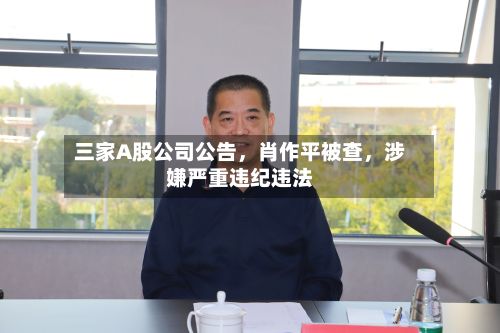 三家A股公司公告，肖作平被查，涉嫌严重违纪违法