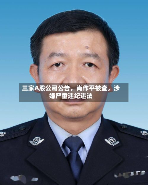 三家A股公司公告，肖作平被查	，涉嫌严重违纪违法-第2张图片
