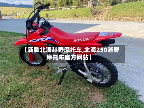 【新款北海越野摩托车,北海250越野摩托车官方网站】-第2张图片