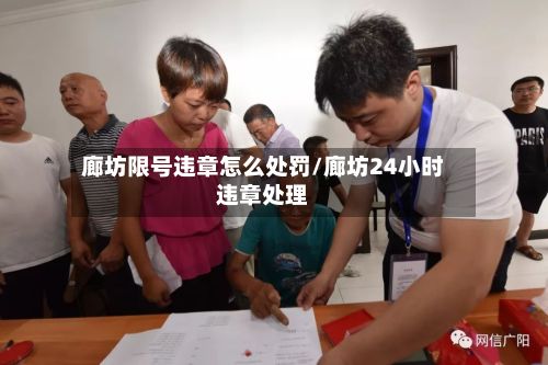廊坊限号违章怎么处罚/廊坊24小时违章处理-第3张图片