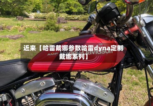 近来【哈雷戴娜参数哈雷dyna定制戴娜系列】-第2张图片