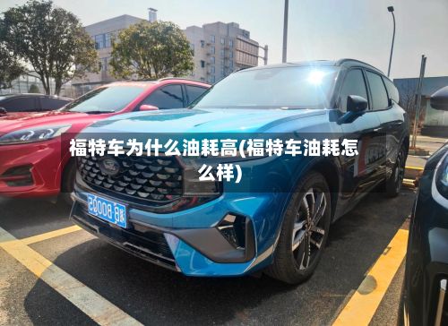 福特车为什么油耗高(福特车油耗怎么样)