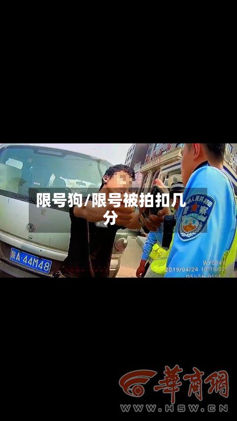 限号狗/限号被拍扣几分