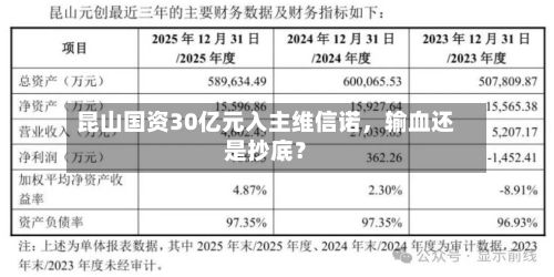 昆山国资30亿元入主维信诺	，输血还是抄底？-第2张图片