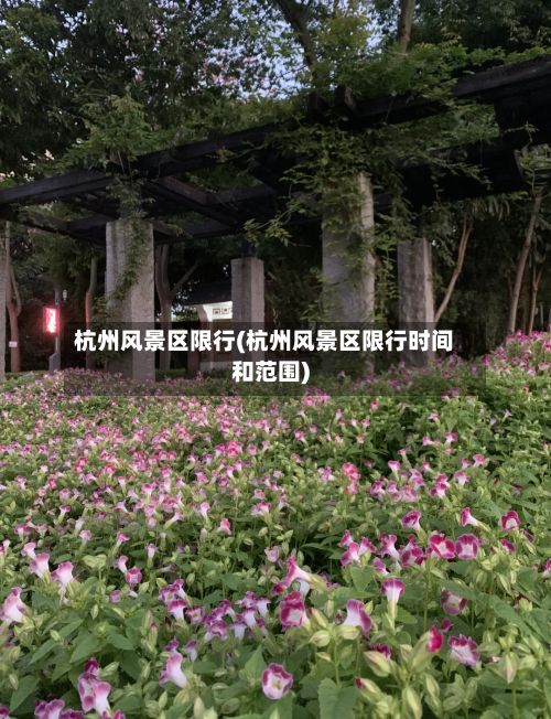 杭州风景区限行(杭州风景区限行时间和范围)-第2张图片