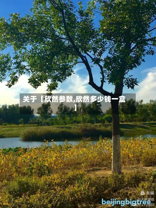 关于【欣然参数,欣然多少钱一盒】