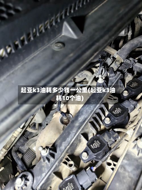 起亚k3油耗多少钱一公里(起亚k3油耗10个油)-第3张图片