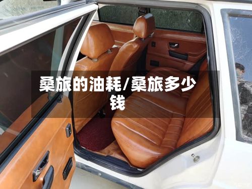 桑旅的油耗/桑旅多少钱-第3张图片