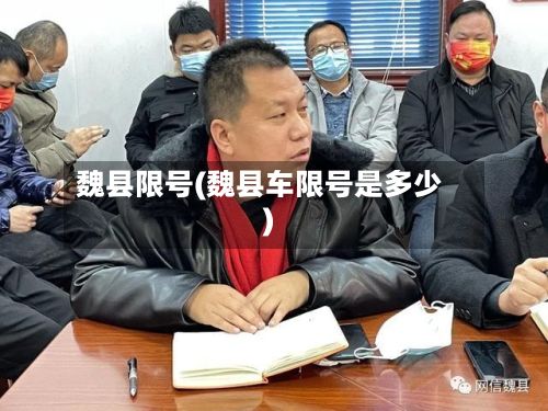 魏县限号(魏县车限号是多少)-第3张图片