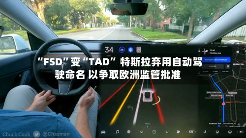 “FSD	”变“TAD” 特斯拉弃用自动驾驶命名 以争取欧洲监管批准-第2张图片