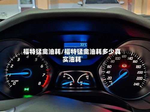 福特猛禽油耗/福特猛禽油耗多少真实油耗-第1张图片