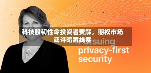 科技股韧性令投资者费解，期权市场或许暗藏线索-第2张图片