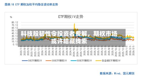 科技股韧性令投资者费解，期权市场或许暗藏线索-第3张图片