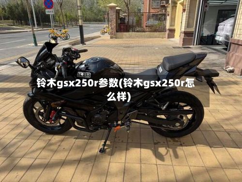 铃木gsx250r参数(铃木gsx250r怎么样)-第2张图片