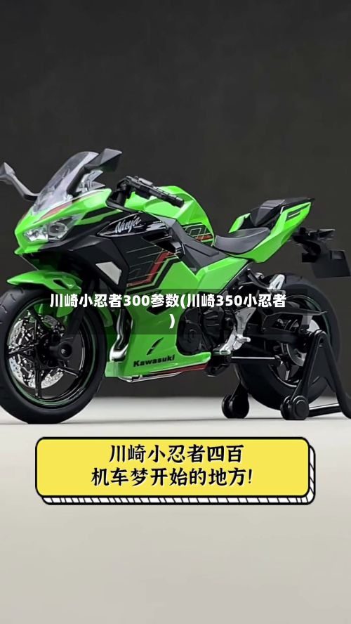 川崎小忍者300参数(川崎350小忍者)