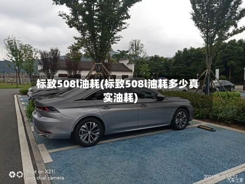标致508l油耗(标致508l油耗多少真实油耗)-第3张图片