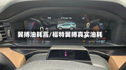 翼搏油耗高/福特翼搏真实油耗-第2张图片