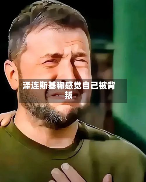 泽连斯基称感觉自己被背叛-第2张图片