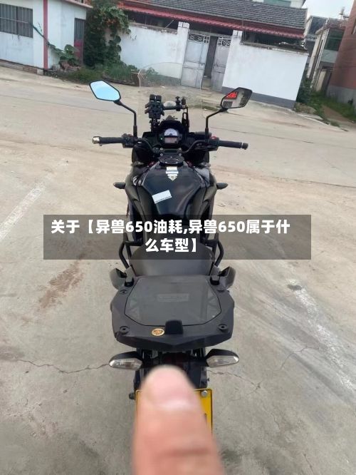 关于【异兽650油耗,异兽650属于什么车型】