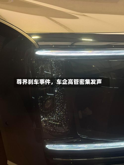 尊界刹车事件，车企高管密集发声-第3张图片