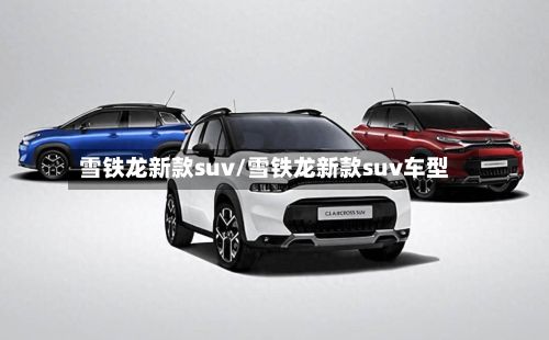 雪铁龙新款suv/雪铁龙新款suv车型-第2张图片