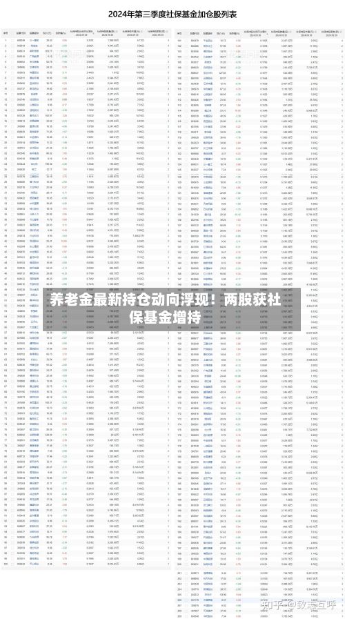 养老金最新持仓动向浮现!两股获社保基金增持-第2张图片