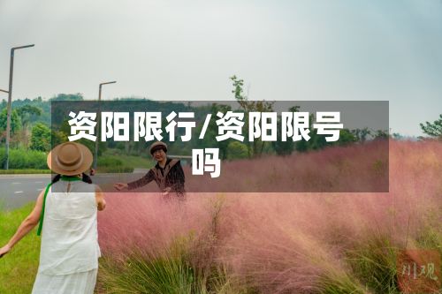 资阳限行/资阳限号吗-第3张图片
