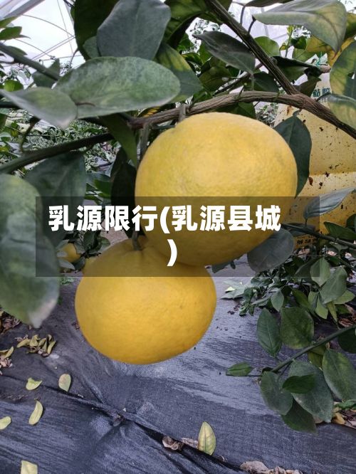 乳源限行(乳源县城)-第2张图片