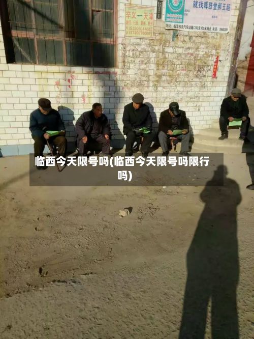 临西今天限号吗(临西今天限号吗限行吗)