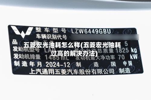 五菱宏光油耗怎么样(五菱宏光油耗过高的解决办法)-第3张图片