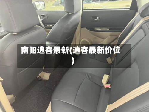 南阳逍客最新(逍客最新价位)-第2张图片