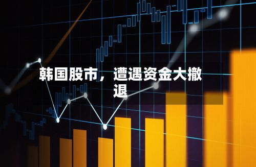 韩国股市，遭遇资金大撤退-第2张图片