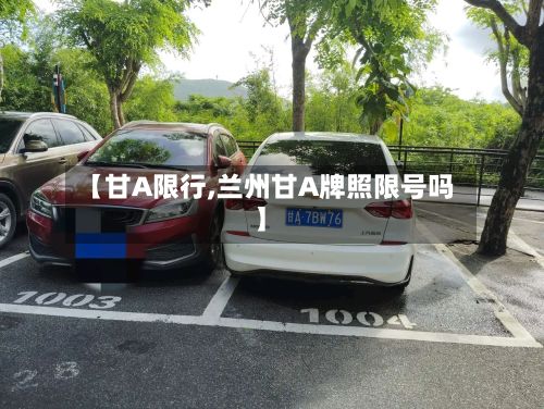 【甘A限行,兰州甘A牌照限号吗】