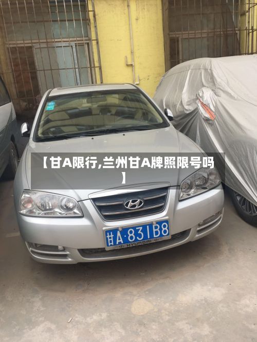 【甘A限行,兰州甘A牌照限号吗】-第2张图片