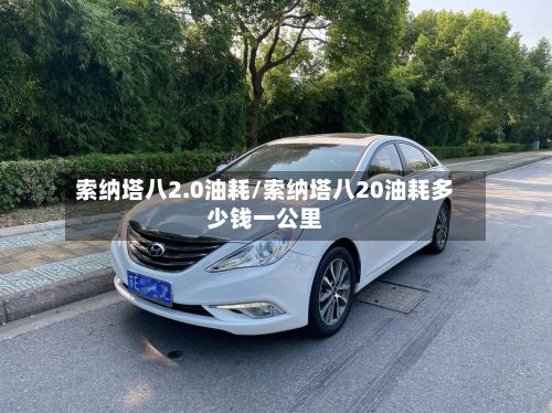 索纳塔八2.0油耗/索纳塔八20油耗多少钱一公里-第2张图片