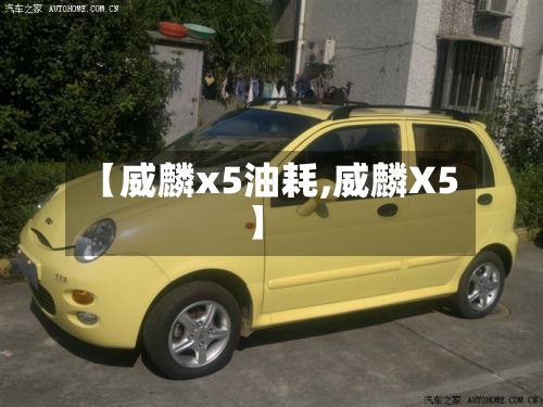 【威麟x5油耗,威麟X5】-第2张图片