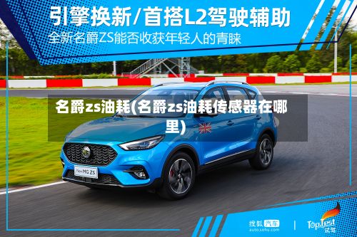 名爵zs油耗(名爵zs油耗传感器在哪里)-第3张图片