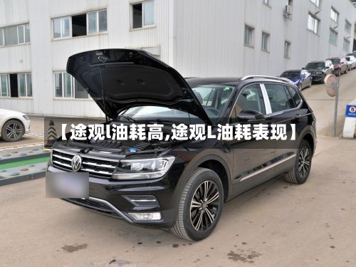 【途观l油耗高,途观L油耗表现】-第3张图片