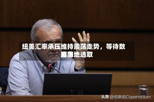 纽美汇率承压维持震荡走势，等待数据落地选取方向