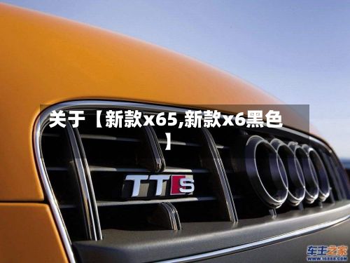 关于【新款x65,新款x6黑色】-第2张图片
