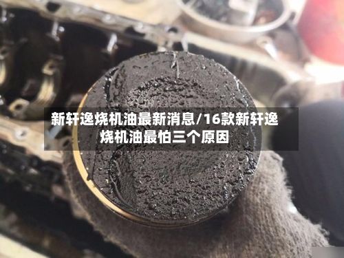 新轩逸烧机油最新消息/16款新轩逸烧机油最怕三个原因-第3张图片