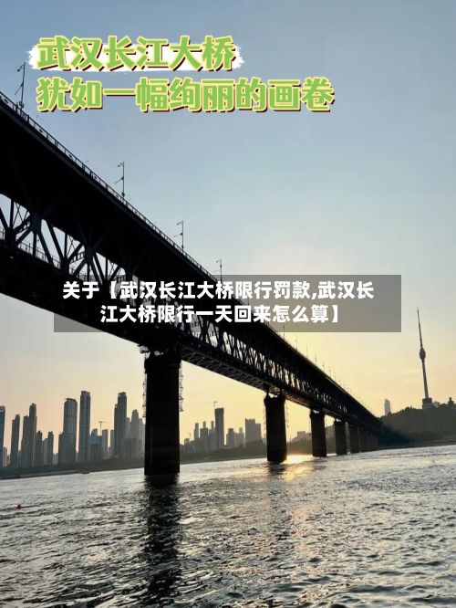 关于【武汉长江大桥限行罚款,武汉长江大桥限行一天回来怎么算】