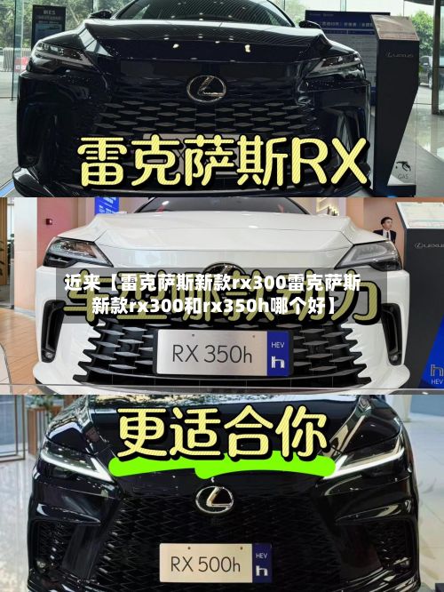 近来【雷克萨斯新款rx300雷克萨斯新款rx300和rx350h哪个好】