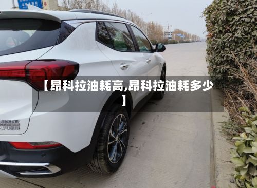 【昂科拉油耗高,昂科拉油耗多少】-第3张图片