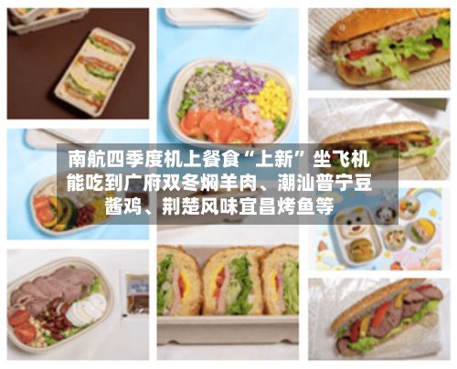 南航四季度机上餐食“上新” 坐飞机能吃到广府双冬焖羊肉、潮汕普宁豆酱鸡	、荆楚风味宜昌烤鱼等-第2张图片