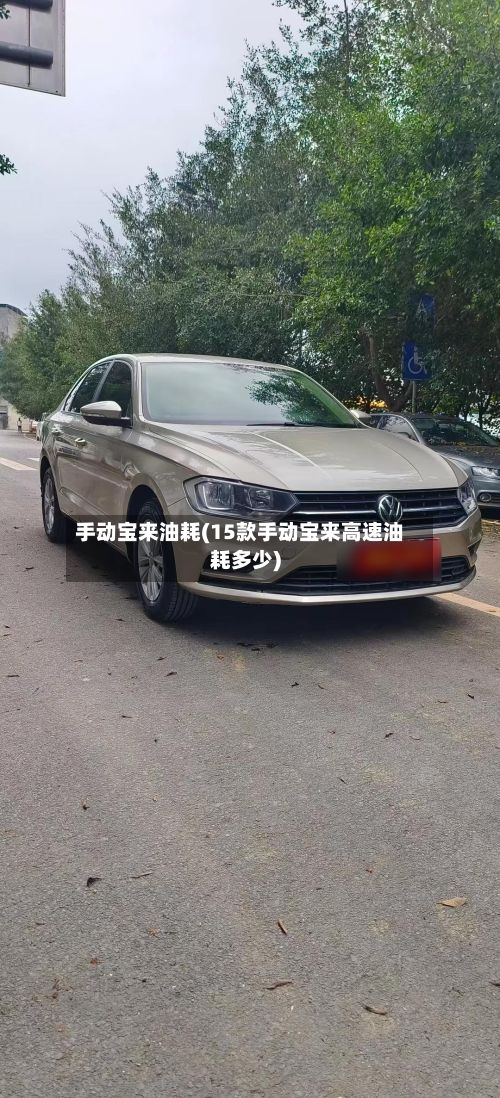 手动宝来油耗(15款手动宝来高速油耗多少)-第2张图片