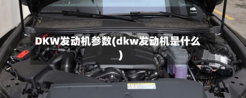 DKW发动机参数(dkw发动机是什么)-第3张图片